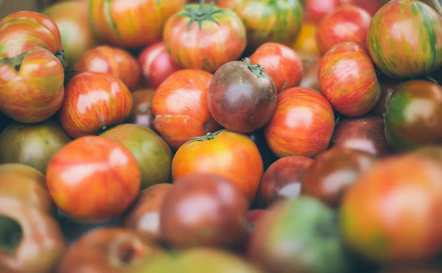A close-up of a pile of various heirloom tomatoes, showcasing their diverse colors and patterns.