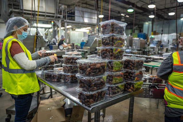 Workers in a factory packaging dates into plastic containers, with stacks of packaged dates on a table.