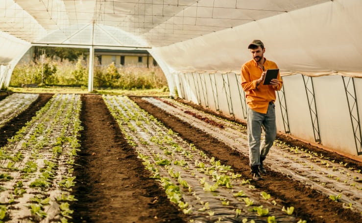 Inventory of greenhouse