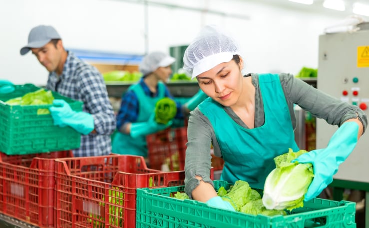 Women packing-shipping produce