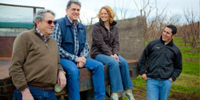 The Orchard View Team